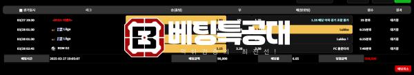 비카.png