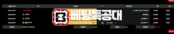 비카3.png