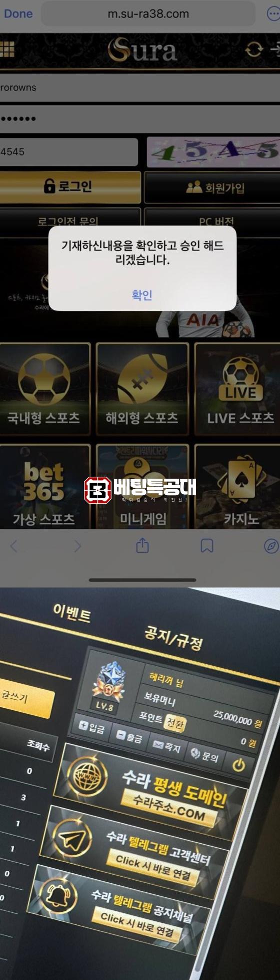수라.png