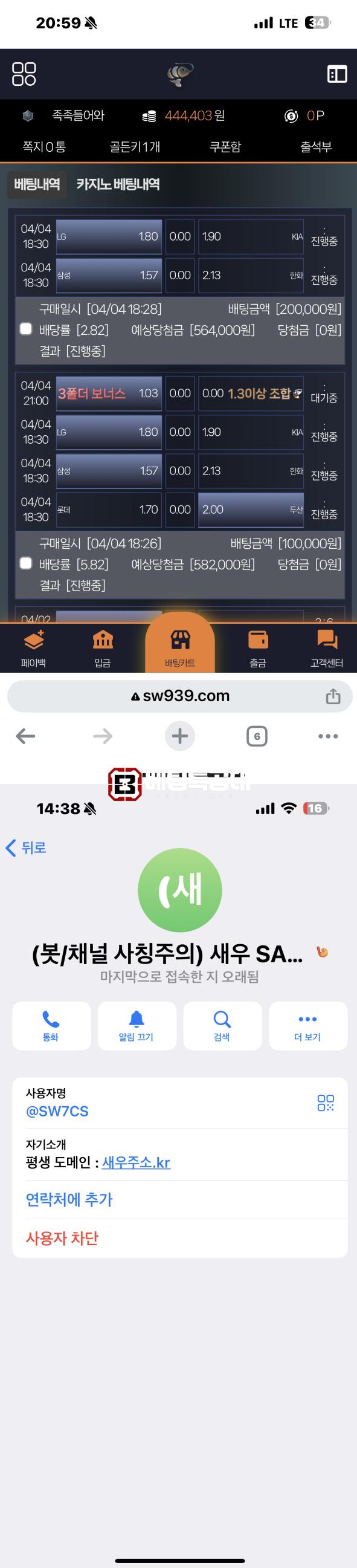 새우.png