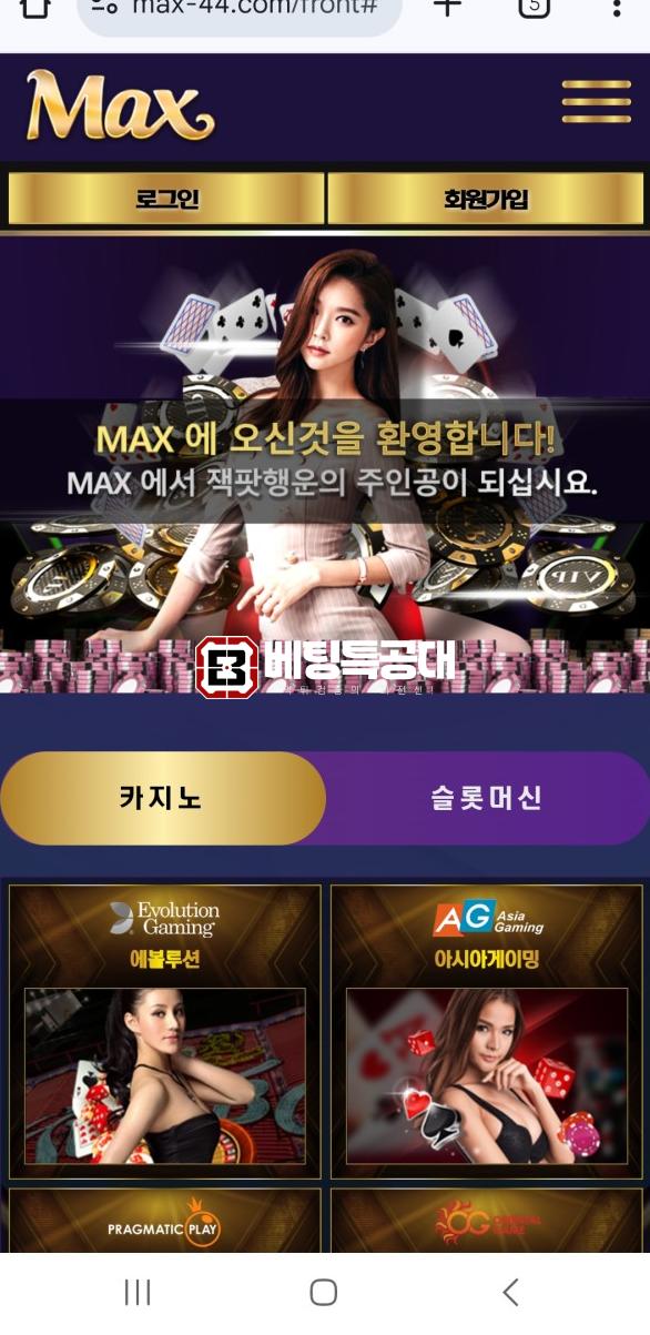 맥스.png