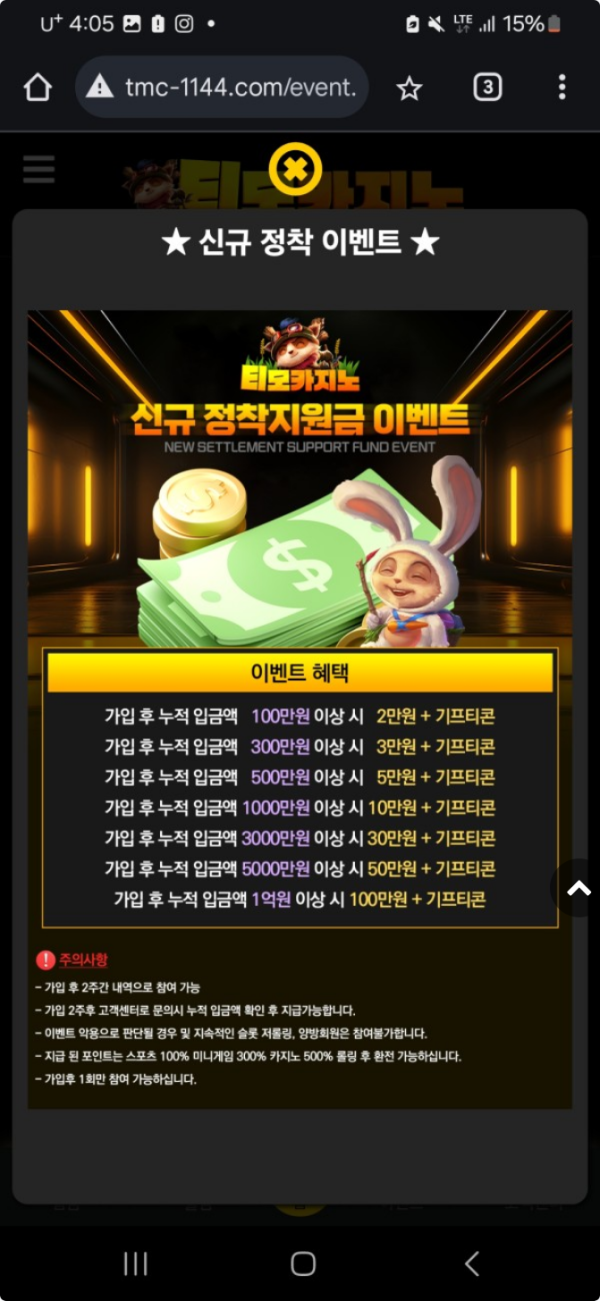 티모1.png