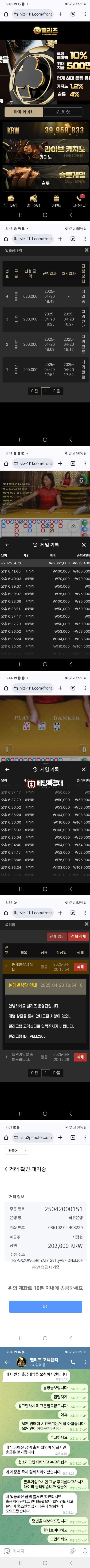 벨리즈.png