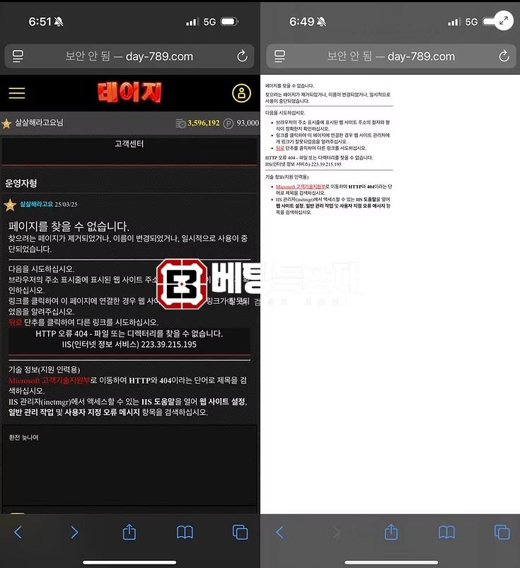 데이지.png