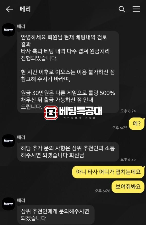 메리.png