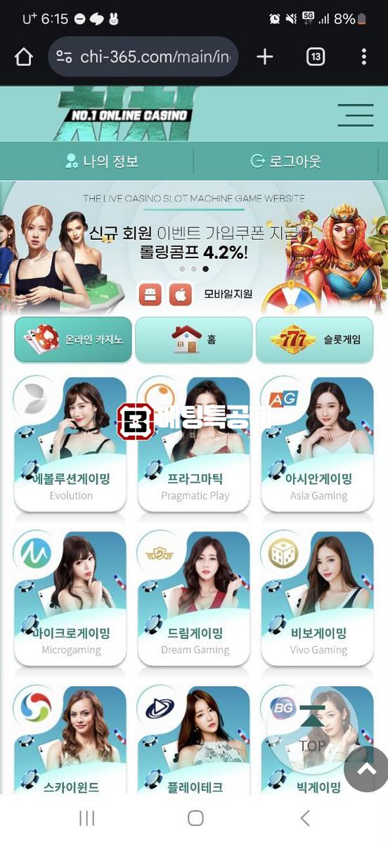치치.png