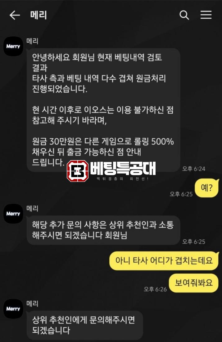 메리.png