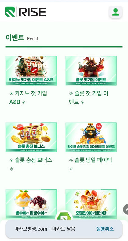 라이즈.png