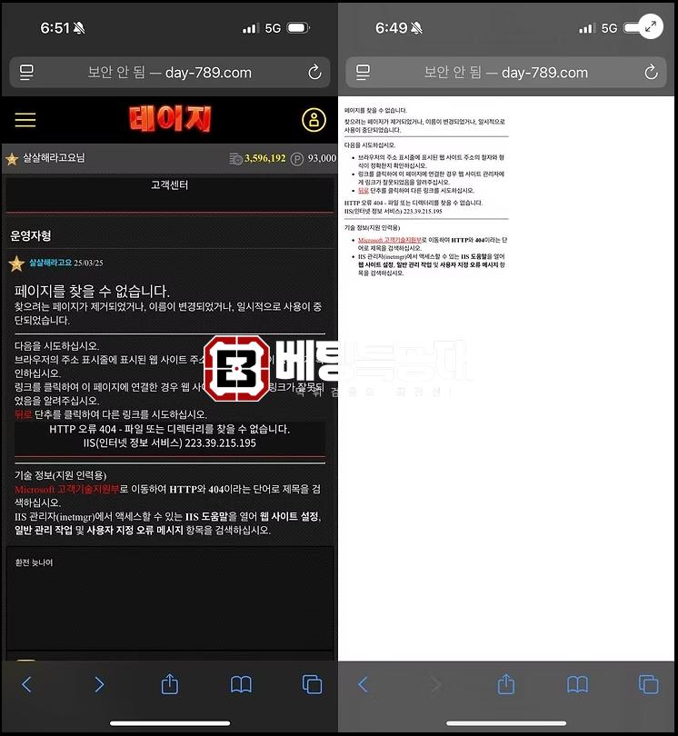 데이지.png