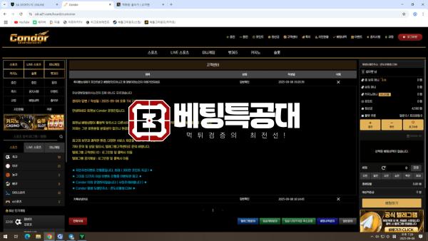 콘도르.png