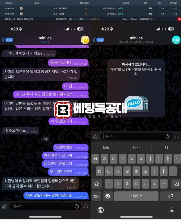 미니뱃.png