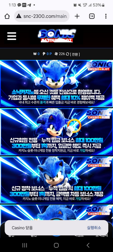 소닉.png