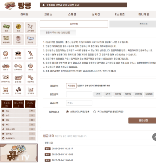 땅콩.png