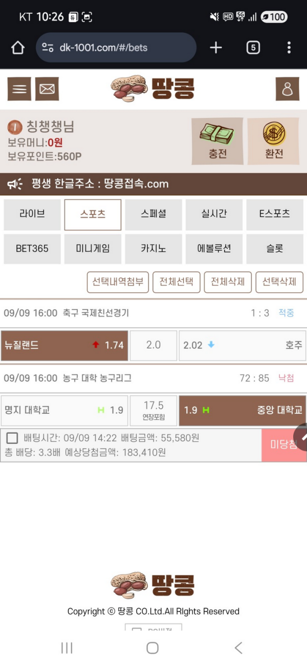 땅콩.png