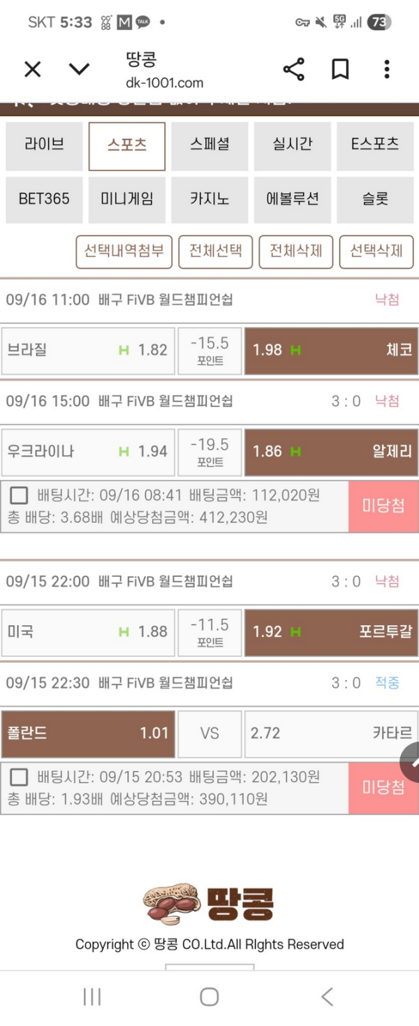 땅콩.png
