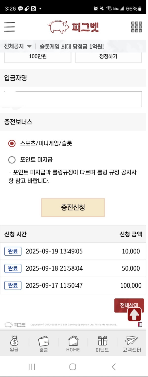 피그벳.png