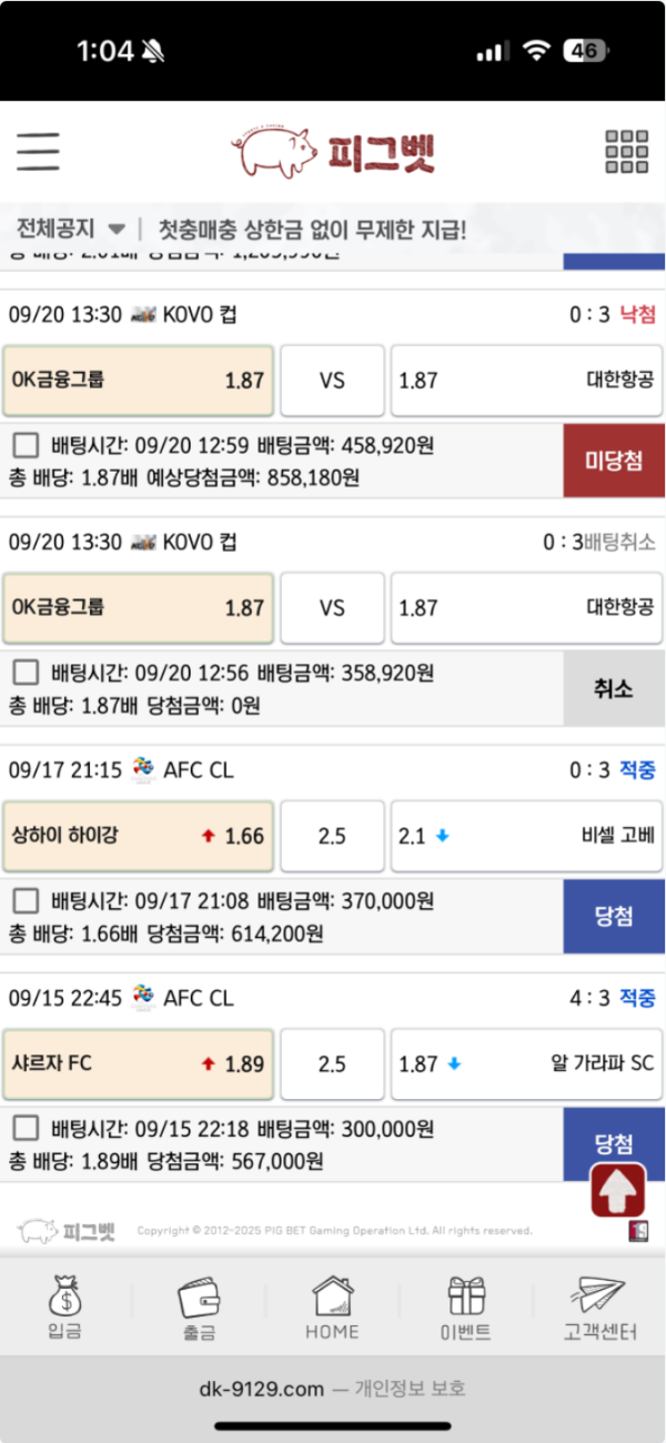 피그벳.png