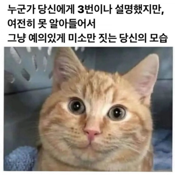 스크린샷 2025-09-29 오후 5.38.00.png