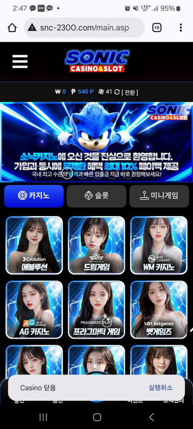 소닉.png