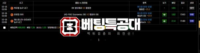 펑벳.png