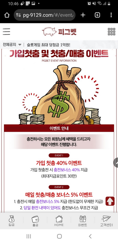 피그벳.png