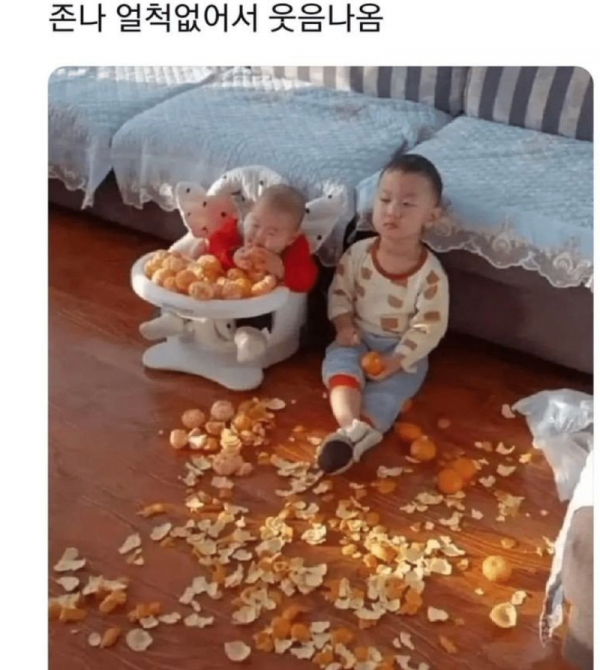 스크린샷 2025-10-03 오전 7.47.35.png