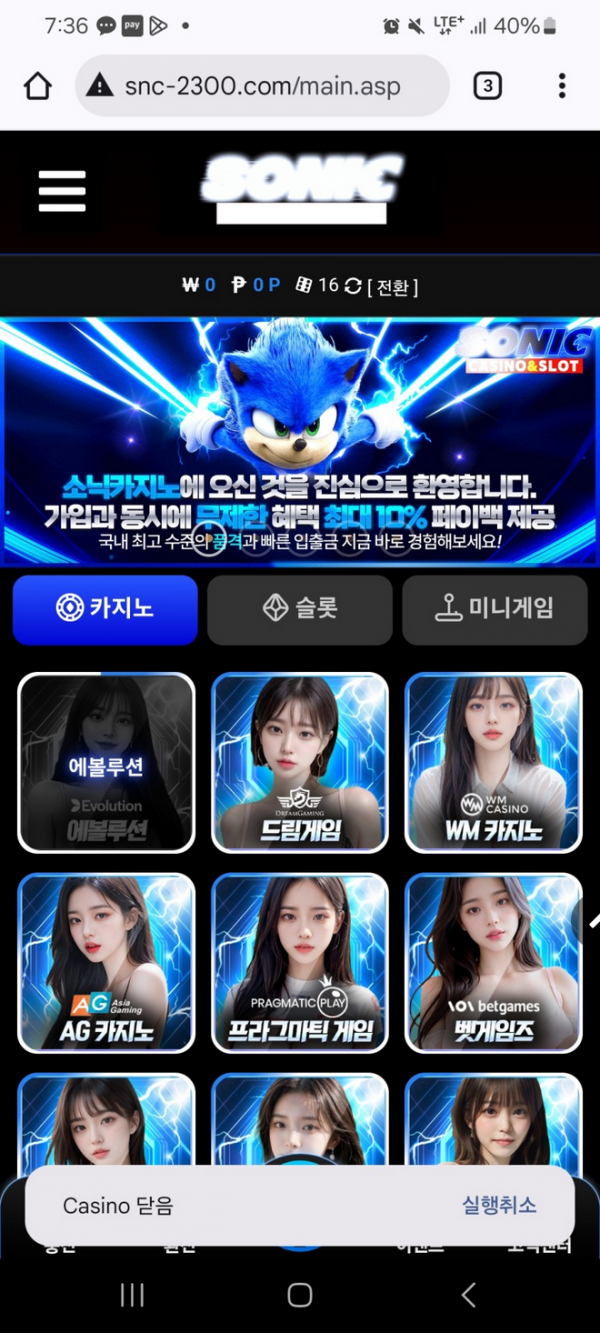 소닉.png