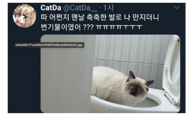 스크린샷 2025-10-09 오전 5.30.52.png