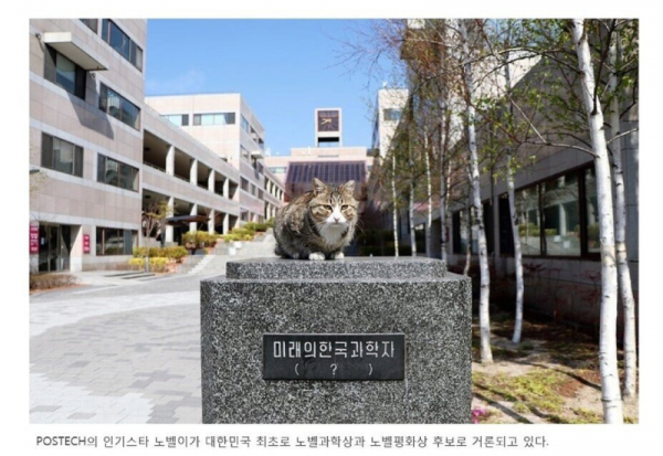 스크린샷 2025-10-11 오후 8.04.05.png