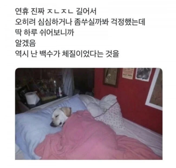 스크린샷 2025-10-11 오후 8.23.48.png