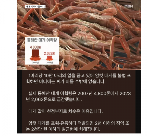 스크린샷 2025-10-11 오후 8.24.39.png