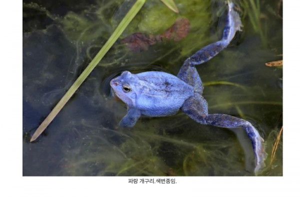 스크린샷 2025-10-11 오후 8.38.54.png