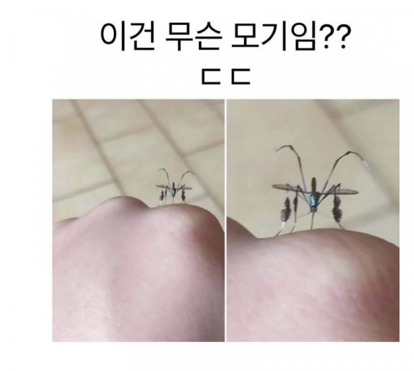 스크린샷 2025-10-11 오후 8.46.45.png