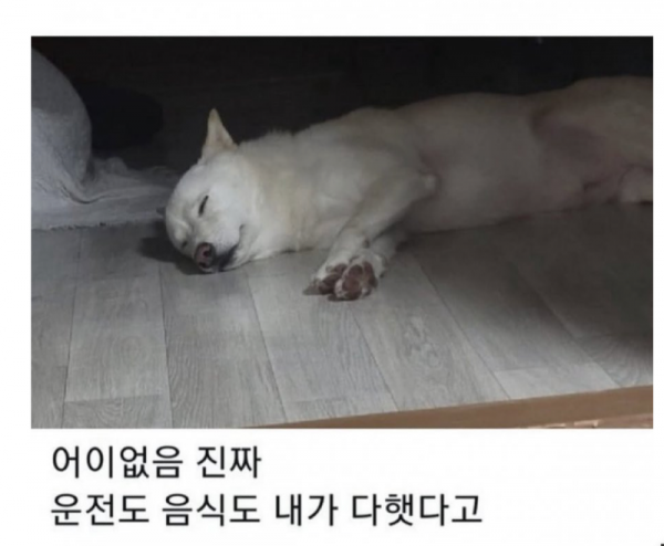 스크린샷 2025-10-12 오후 9.39.23.png