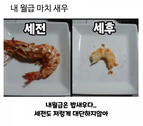 스크린샷 2025-10-23 오전 6.13.30.png