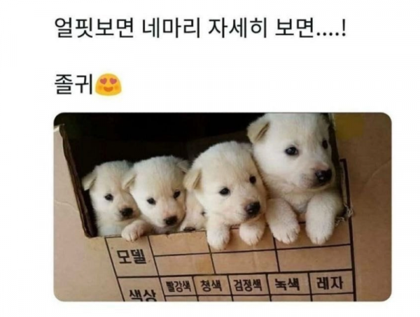 스크린샷 2025-10-27 오후 9.32.01.png