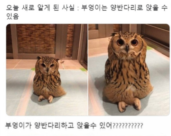스크린샷 2025-10-28 오후 8.17.46.png