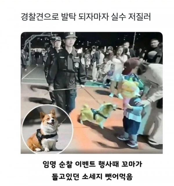 스크린샷 2025-10-29 오후 10.25.10.png