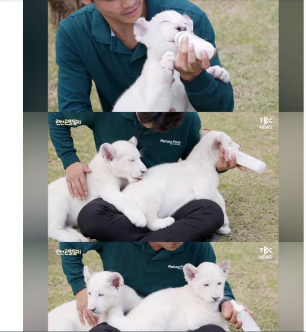 스크린샷 2025-10-29 오후 10.30.33.png