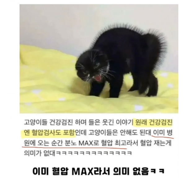 스크린샷 2025-10-30 오후 5.58.43.png