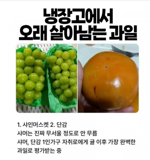 스크린샷 2025-11-04 오후 10.58.17.png