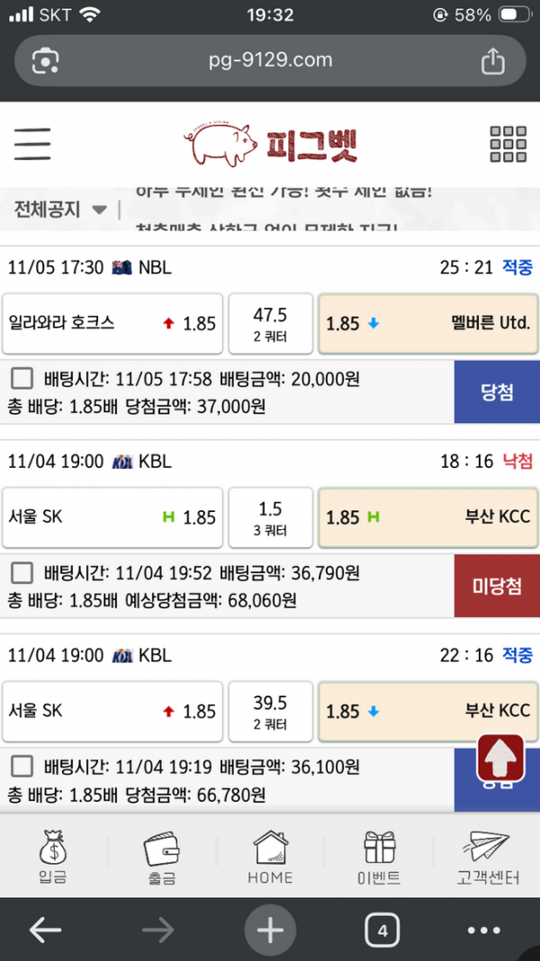 피그벳.png