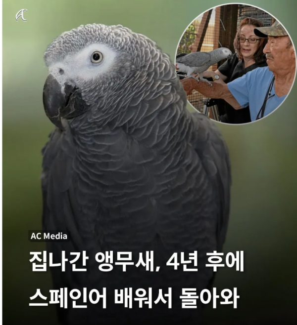 스크린샷 2025-11-04 오후 11.33.12.png