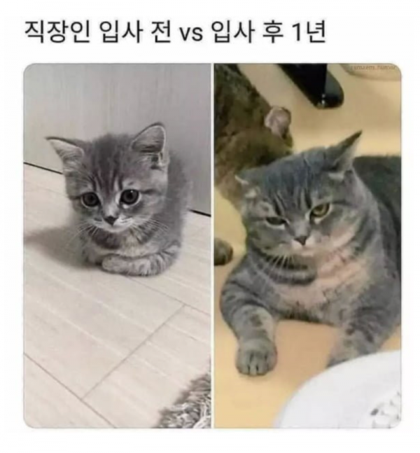스크린샷 2025-11-09 오후 8.41.45.png