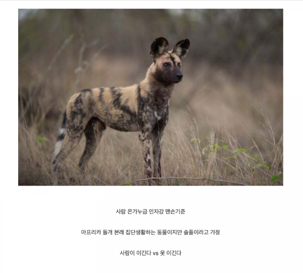 스크린샷 2025-11-17 오후 8.06.50.png