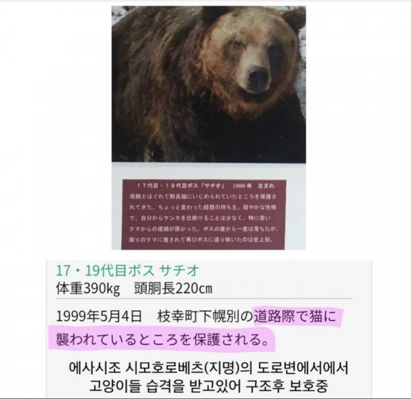 스크린샷 2025-11-18 오후 9.50.07.png