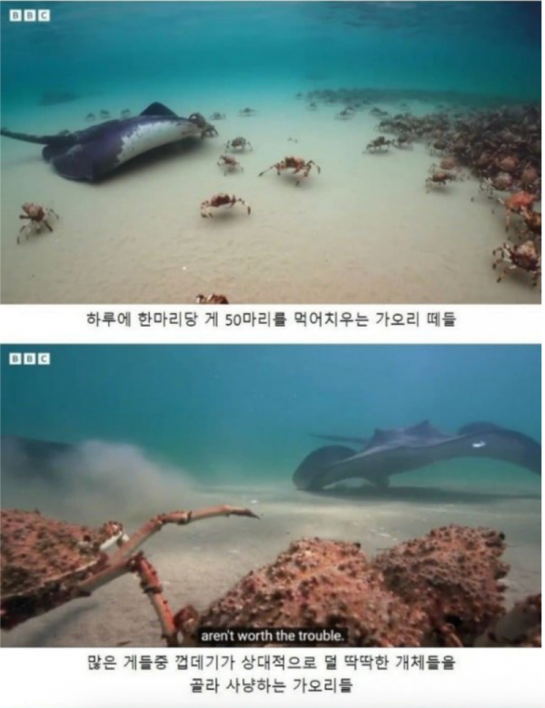 스크린샷 2025-11-19 오후 7.26.49.png