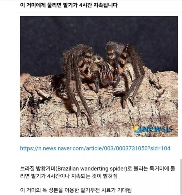 스크린샷 2025-11-25 오후 7.08.33.png