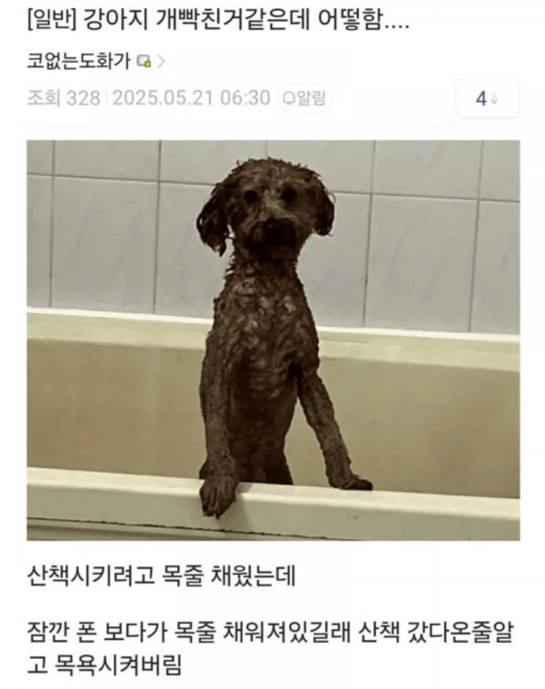 스크린샷 2025-12-04 오후 7.32.36.png