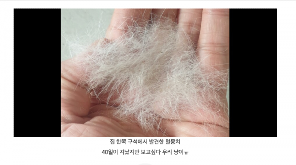 스크린샷 2025-12-09 오후 6.20.28.png